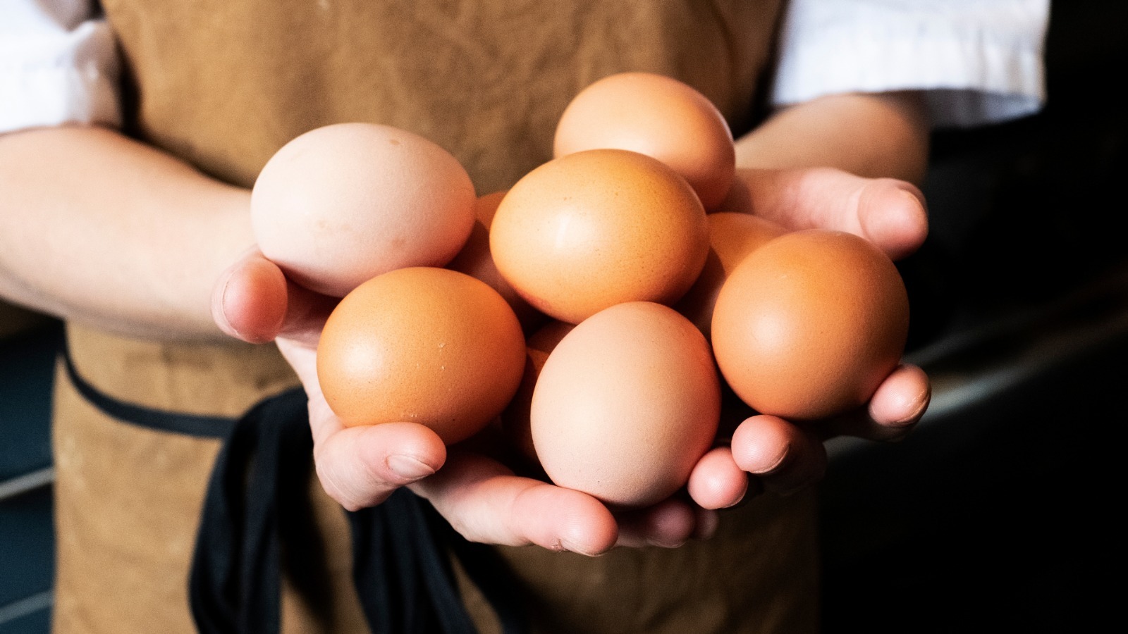 Confira os avanços de nossas ações para adquirir ovos de galinhas criadas livremente